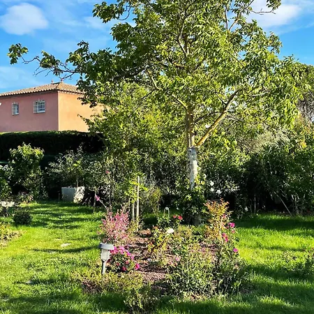 Studio_en_roussillon * טוייר